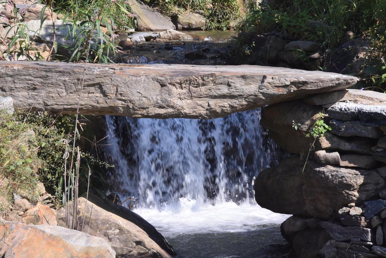 Hill Ventures Adventure Camp And Restaurant Hotel Dharamshala Bagian luar foto
